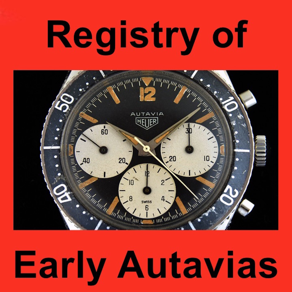 Click to see full 950 x 950 image of AutaviaRegistry950
